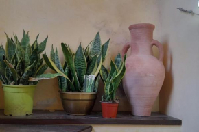 Alimat Guesthouse Catania